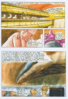 /album/http-police-delouestflofloche/aaaaaaaapol26-jpg/